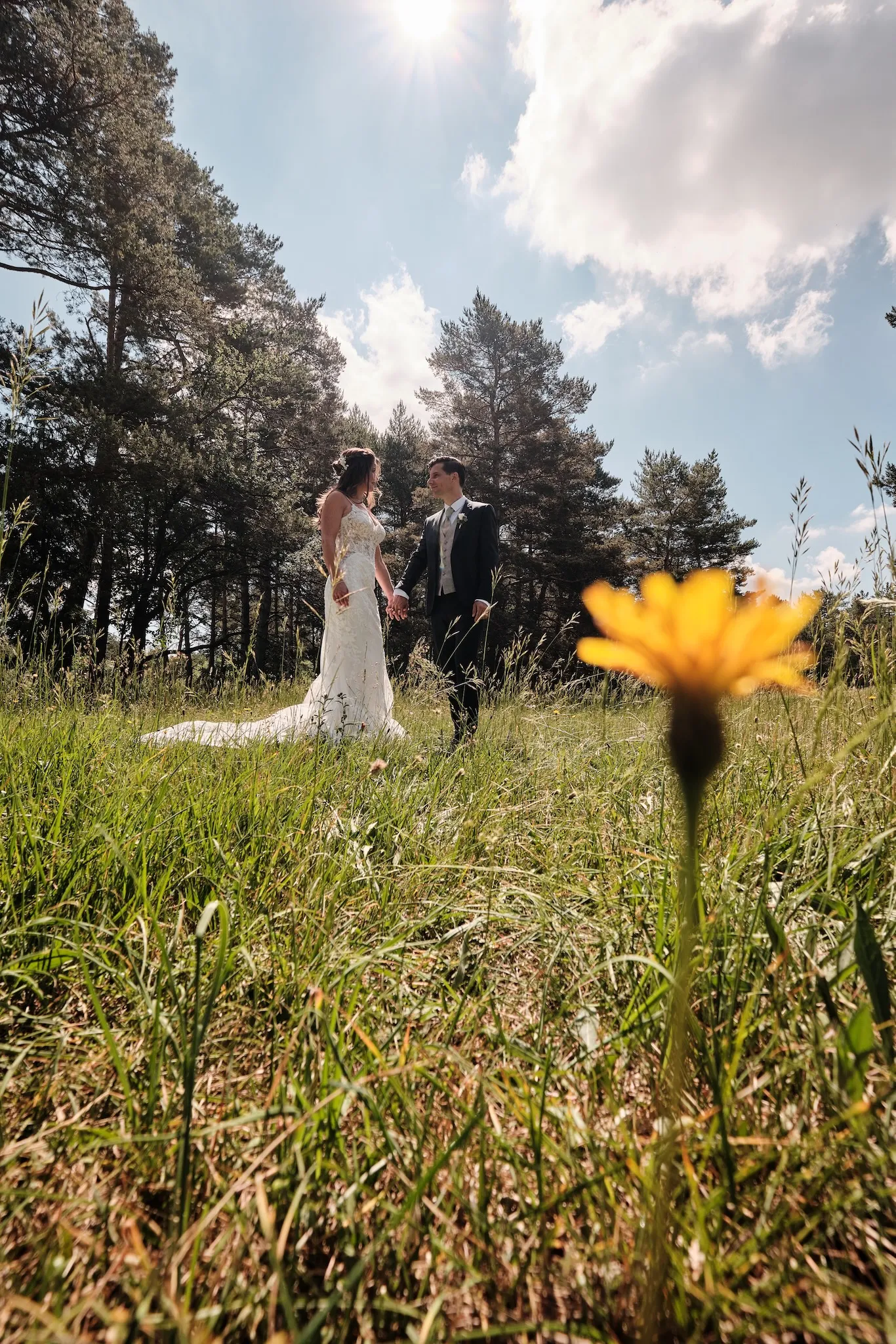 Gelbe Wiesenblume scharf im Vordergrund, Brautpaar verschwommen im Hintergrund – Hochzeit Markus & Tanja, Königsbrunner Heide