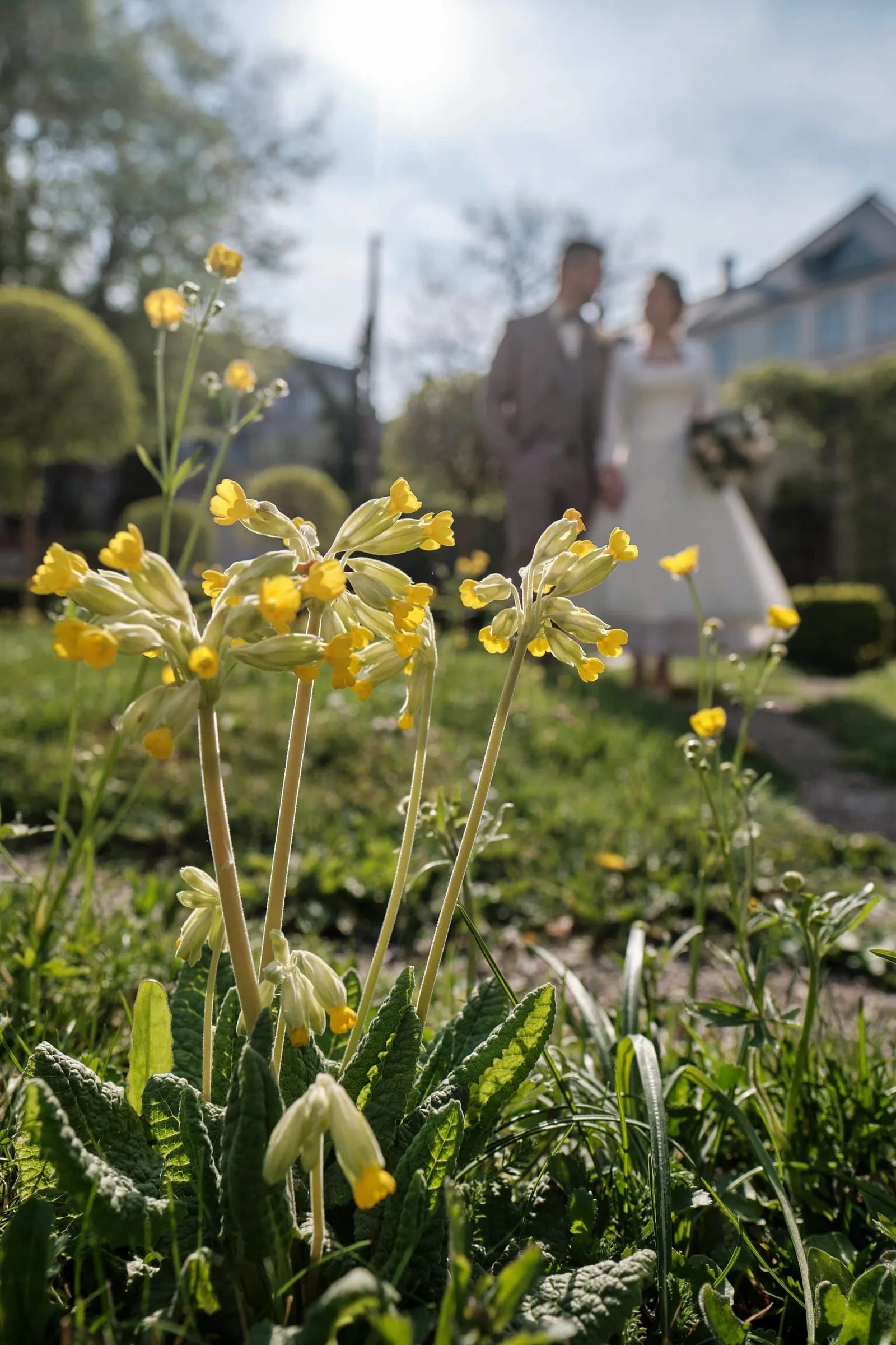 Brautpaar unscharf hinter gelben Schlüsselblumen im Vordergrund – Hochzeit Andi & Betti