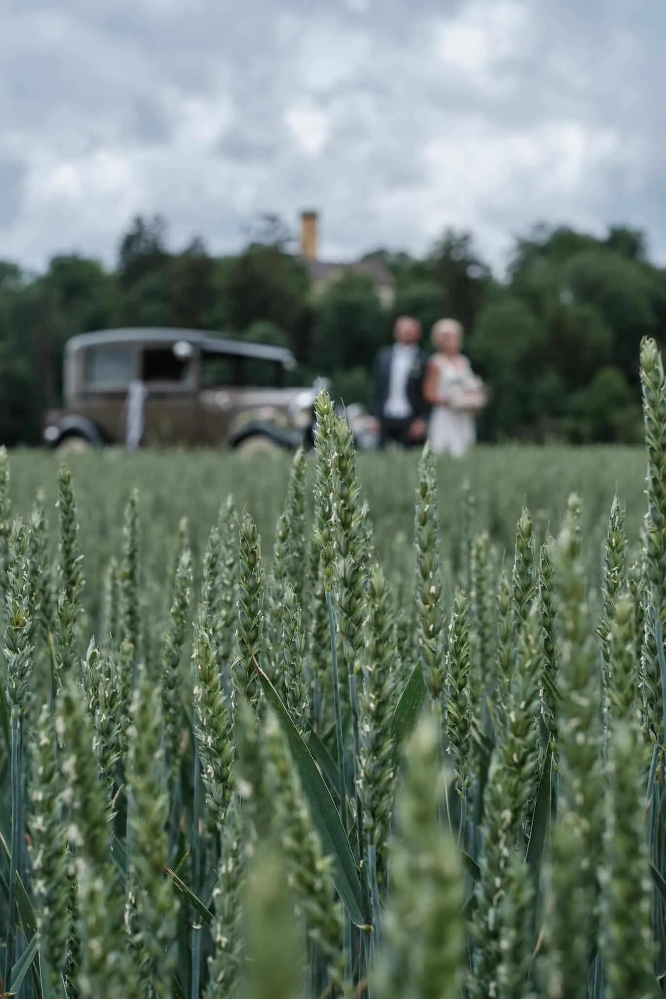 Brautpaar und Oldtimer unscharf hinter Getreideähren im Vordergrund – Hochzeit Jessie & Kosta